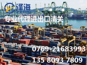 代理測量儀器進(jìn)口報關(guān)與國內(nèi)貿(mào)易代理綜合指南